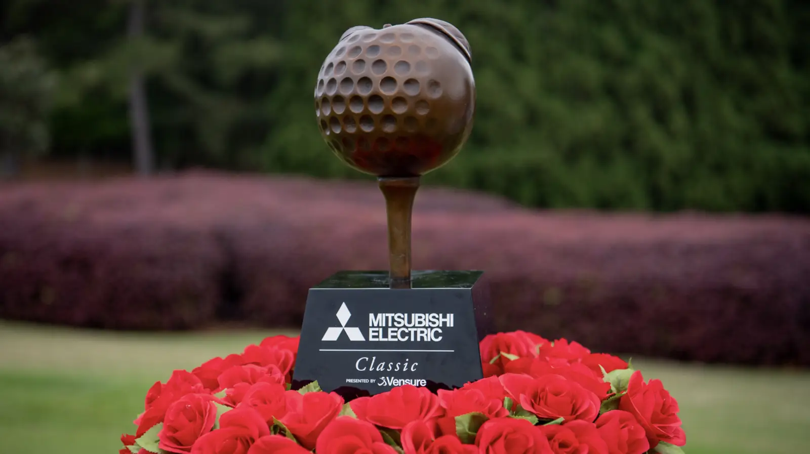 Mitsubishi Electric Classic photography 14