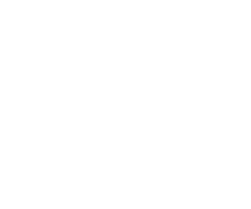 Execution Icon